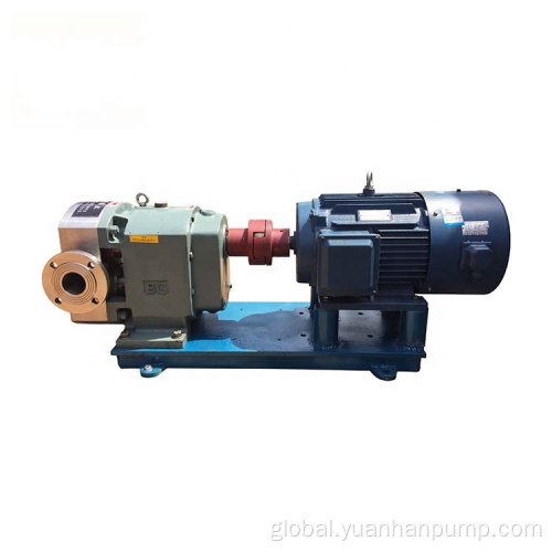 Stainless Steel Rotor Pump Stainless steel rotor pump 3RPCAM rotor pump Emulsion transfer pump Factory